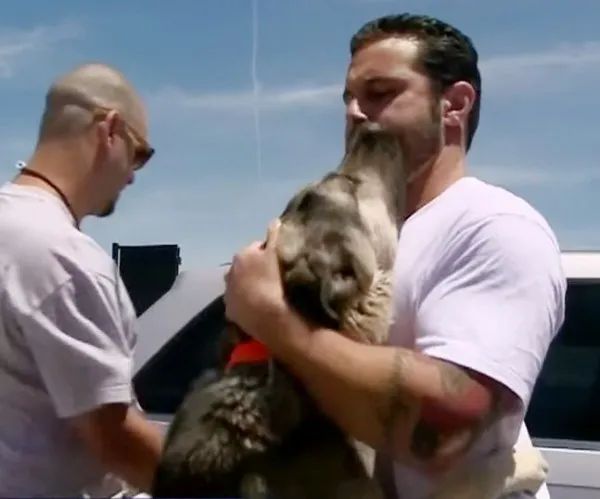 Soldier is forced to leave street dog he rescued in Iraq. 1 month later, they reunite on the other side of Earth