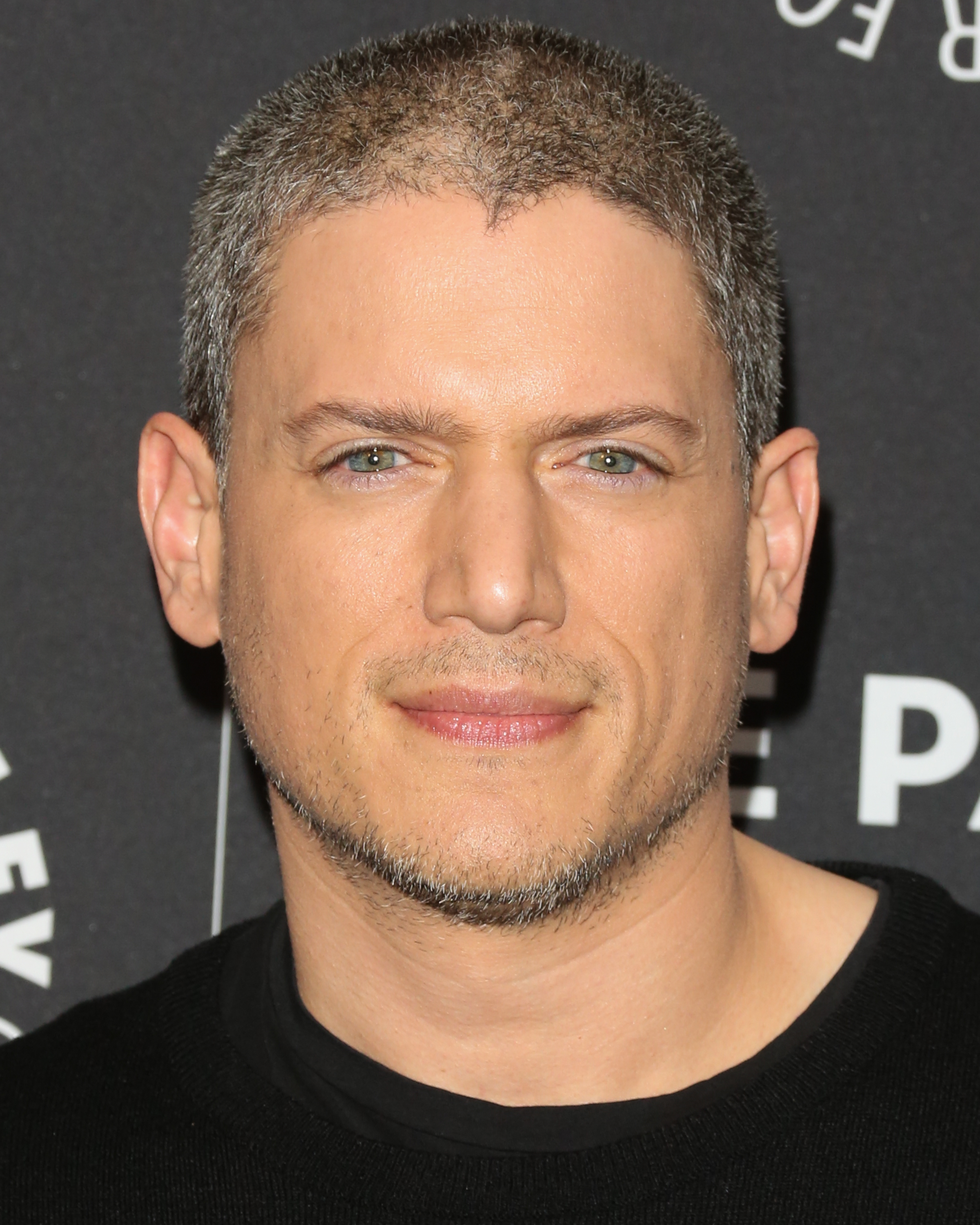 Wentworth Miller attends the "Prison Break" screening and conversation on March 29, 2017, in Beverly Hills, California. | Source: Getty Images