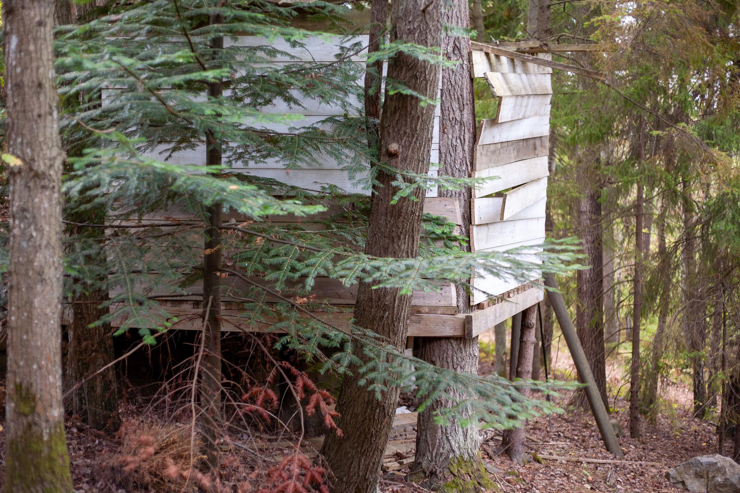 A small shack in the woods | Source: Freepik